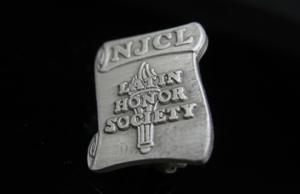 3D Pin