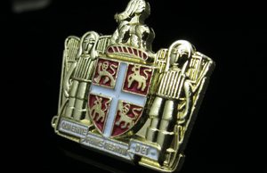 3D Pin