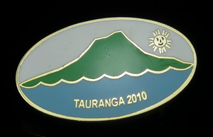 Cloisonne Pin