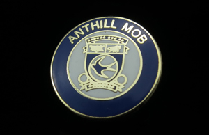 Cloisonne Pin