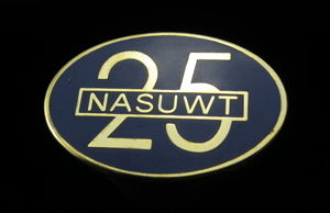 Cloisonne Pin