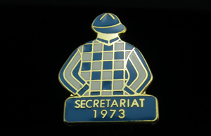 Cloisonne Pin