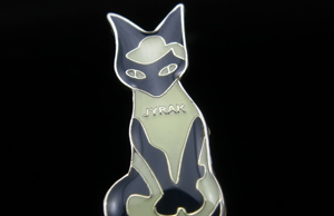 Custom Pin