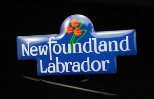 Printed Pin