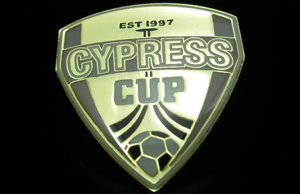 Sports Pin