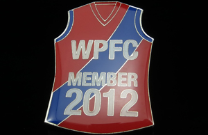 Sports Pin