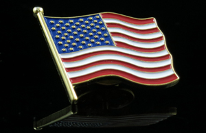 Flag Pin